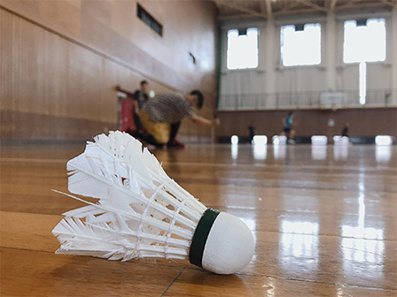 badminton 2
